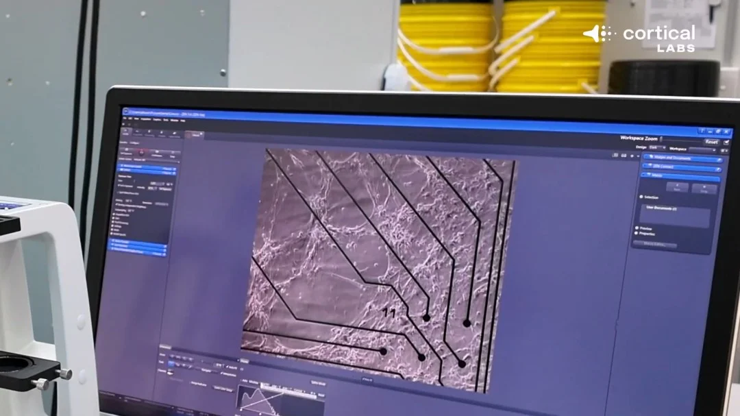 那不勒斯战,胜米兰,榜首差距缩,热博体育,体育博彩,体育投注,热博平台,体育赛事投注,热博官网