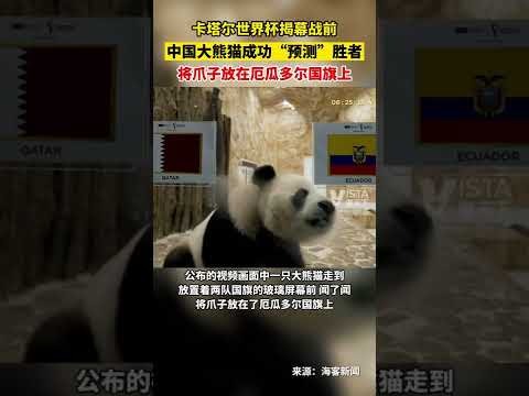 韩梅亚冬会,速度滑女子,米金牌到手,热博体育,体育博彩,体育投注,热博平台,体育赛事投注,热博官网